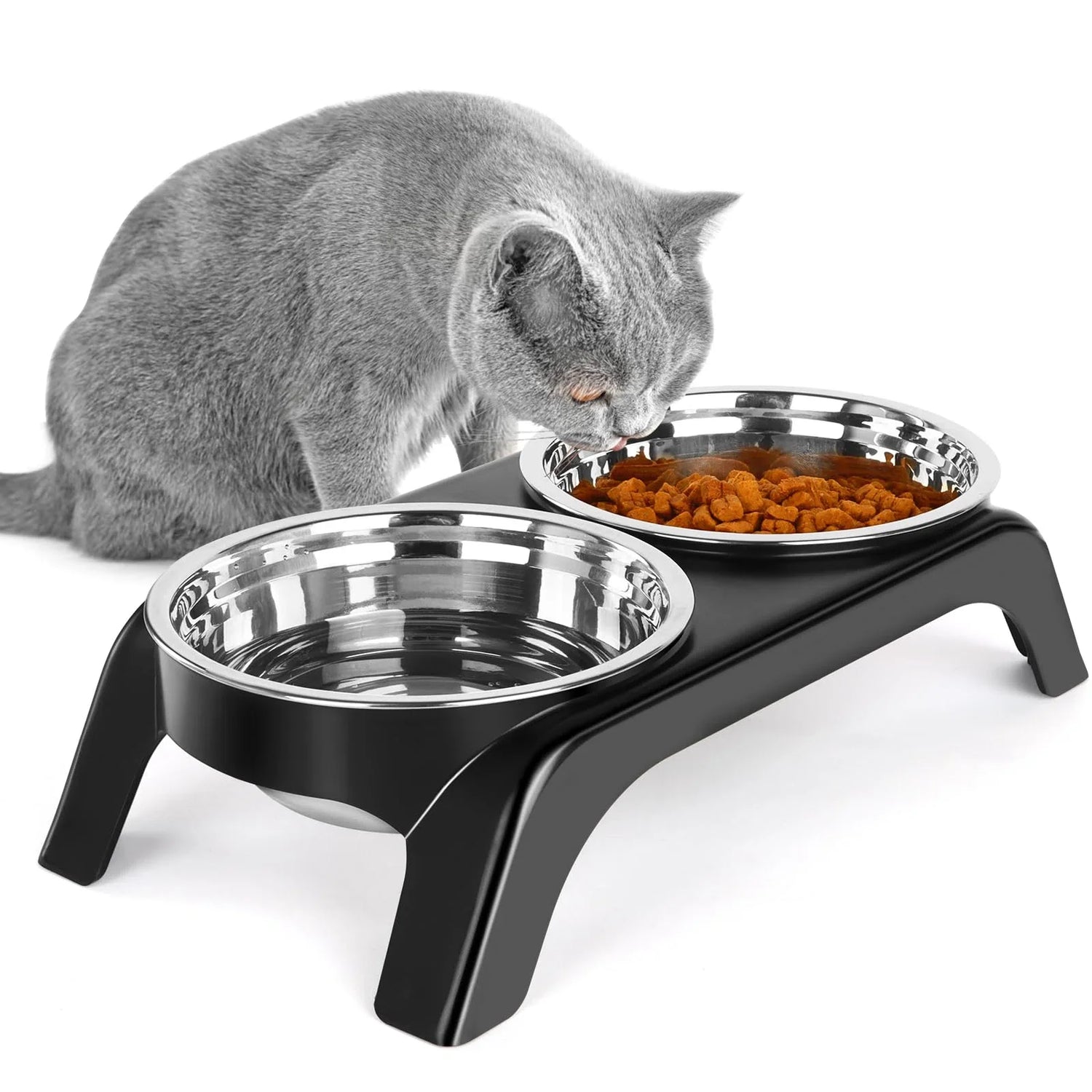 Cat Food Bowls