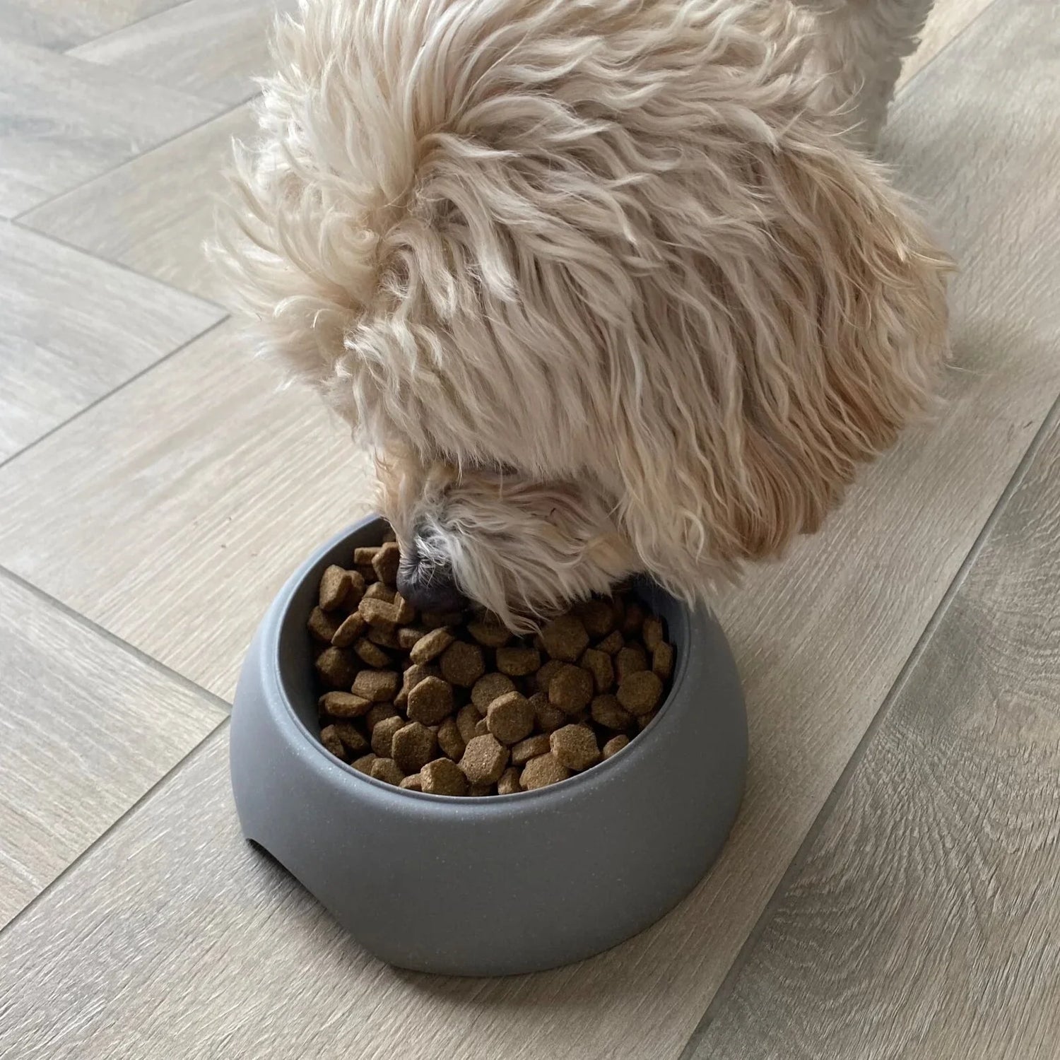 Dog Food Bowl