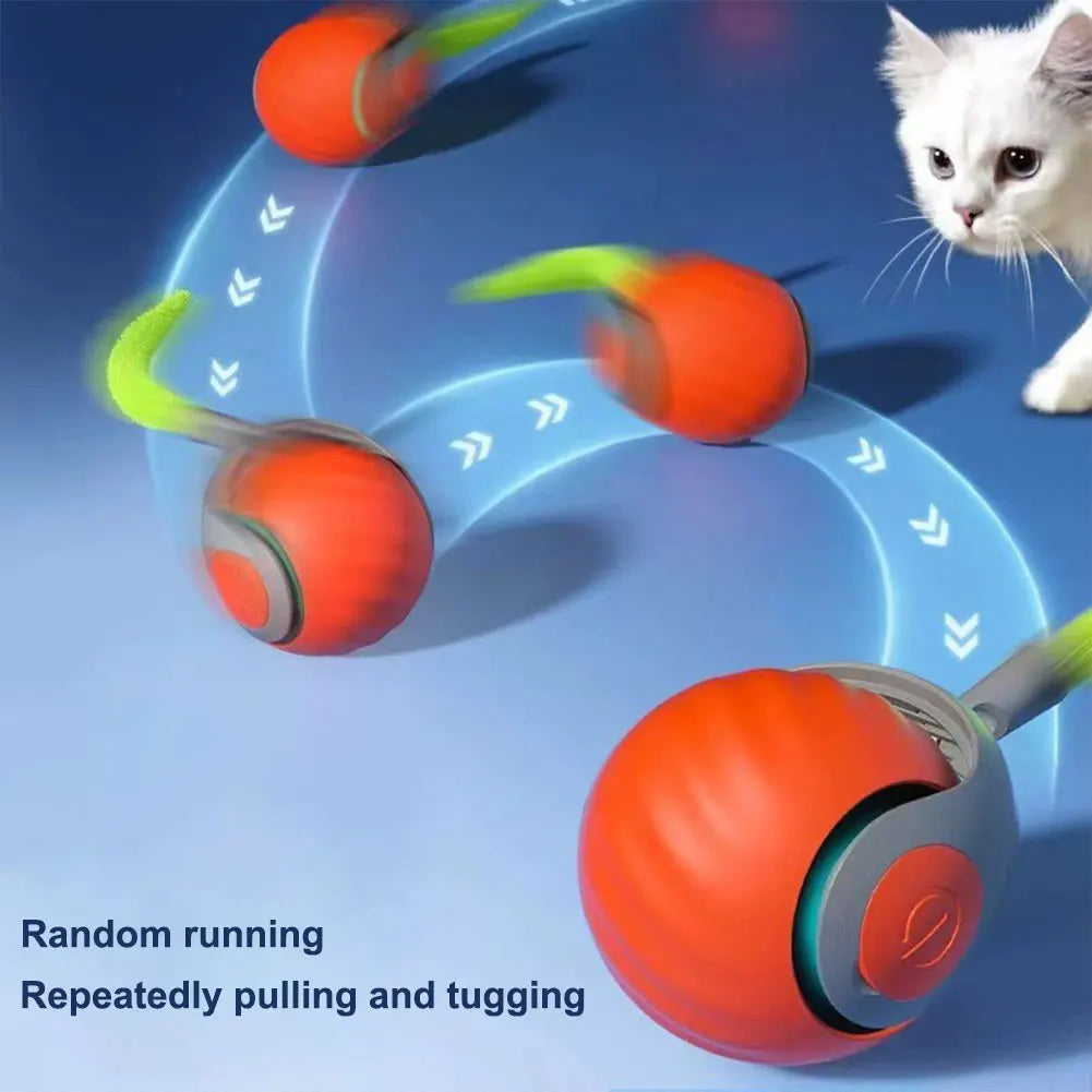 Automatic Moving Cat Toy Ball 
Smart Cat Toys, Interactive Ball Toy
USB Rechargeable Smart Cat Toy