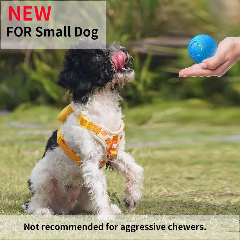 Smart Pet Jumping Ball.  Interactive Balls For Small Dogs, USB Rechargeable, With Colorful Flashing Lights.
