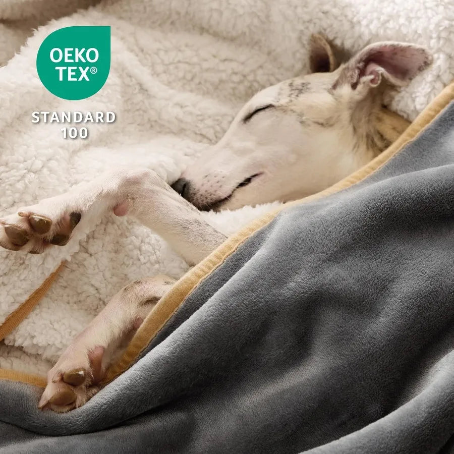 Bedsure Waterproof Dog Blankets for Small Dogs or Small Cats.  Washable Blanket for Couch Protection. Sherpa Fleece Puppy Blanket.