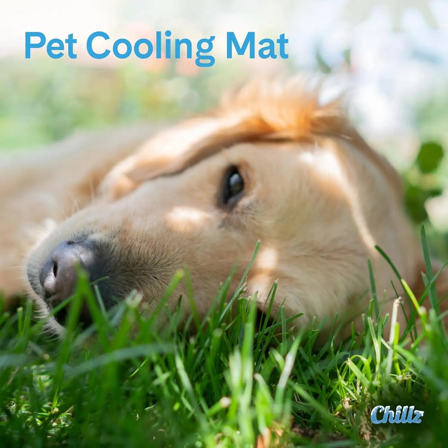 Green Pet Shop Gel Mat, Med - Self-Cooling for Pets 0-25lbs, Safe, No Refrig, Home/Travel.