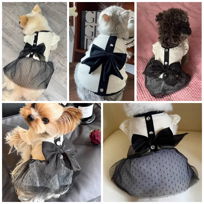 Luxury Dog Dress for Small Dogs 
Puppy Clothes Bow Lace Dog Skirt Black White Dog T Shirt Girls Dog Costume Chihuahua Vest