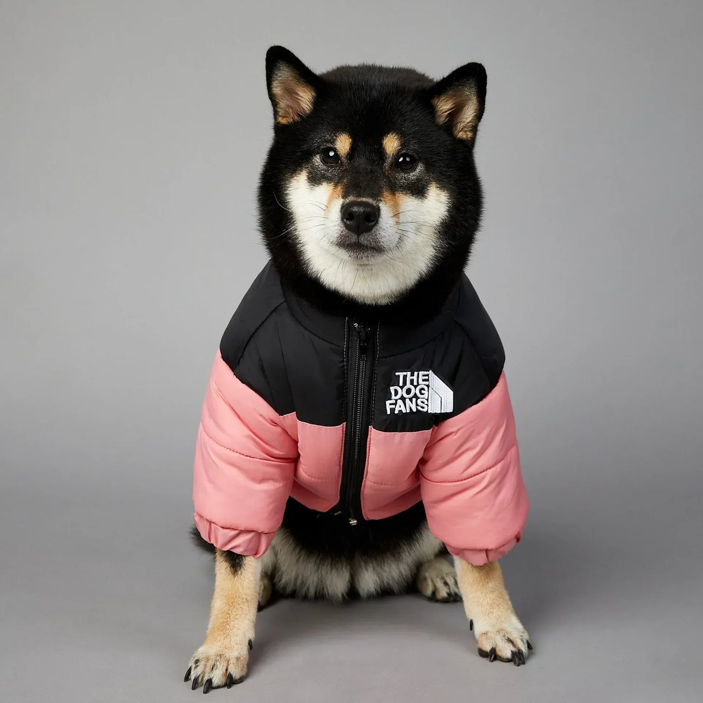 The Dog Fans Winter Down Jacket 
Thick Dog Coat
