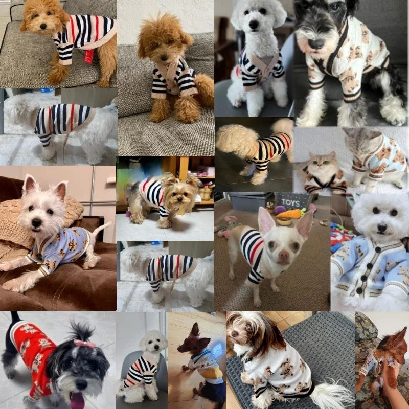 Winter Dog or Cat Knitted Striped Cardigan 
Warm Knitted Sweater