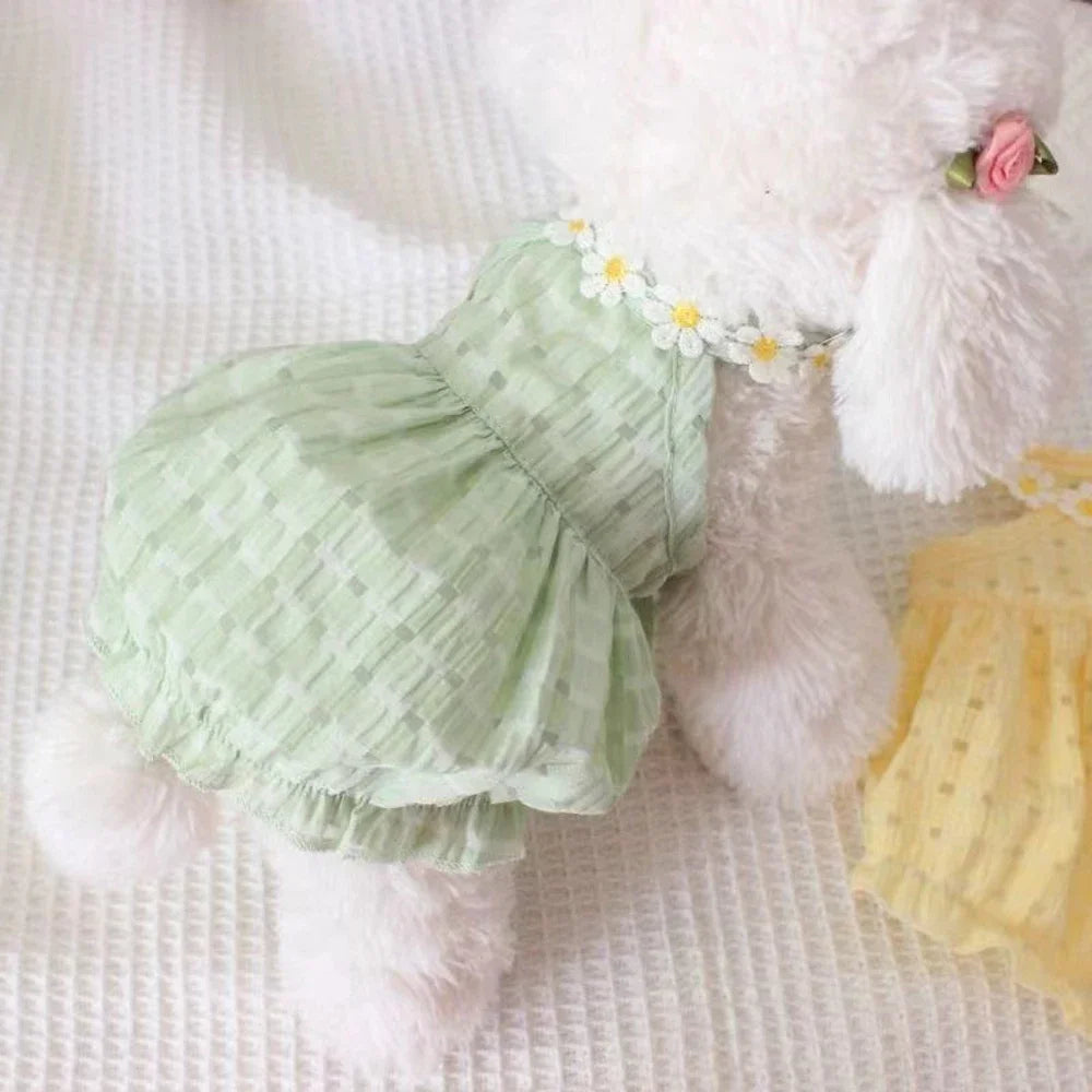 Pretty, Cute Summer Small Cat or Small Dog Dress with Floral Wreath Collar.