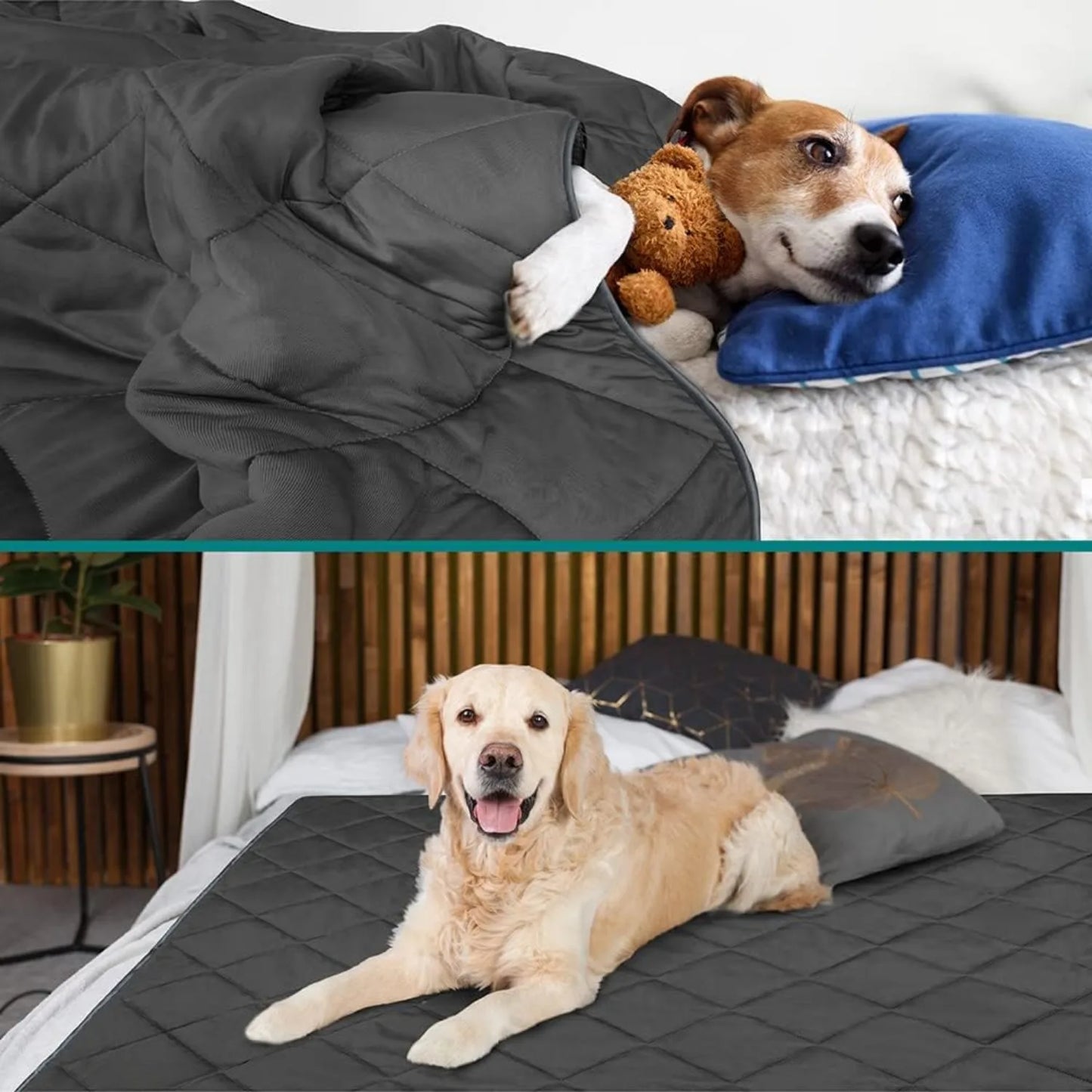 Advanced Cooling Dog Blanket | Lightweight and Fluffy Pet Blanket Bed Cover | 40x60, Grey