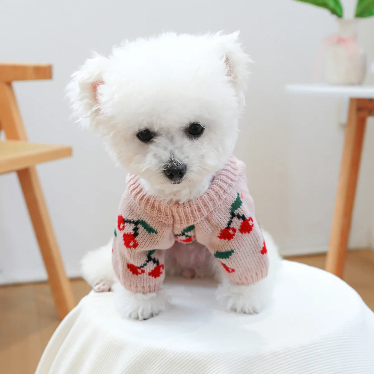 Dog or Cat Warm Winter Pink Cherry Knitted Sweater