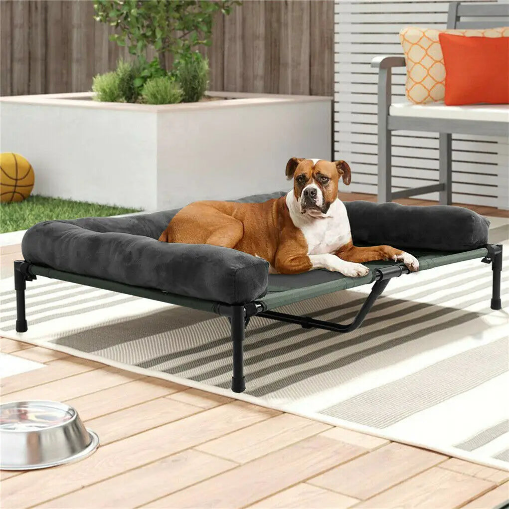 Indoor/Outdoor Elevated Pet Lounger Bed with Detachable Plush Bolster.
Cooling,  Summer, L XL 2XL
