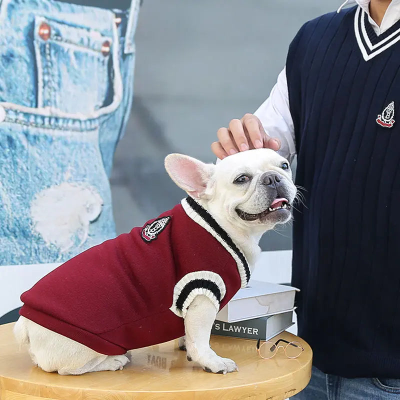 College Style Pet Dog Sweater Winter Warm Dog Clothes for Small Medium Dogs Puppy Cat Vest Chihuahua French Bulldog Yorkie Coat
