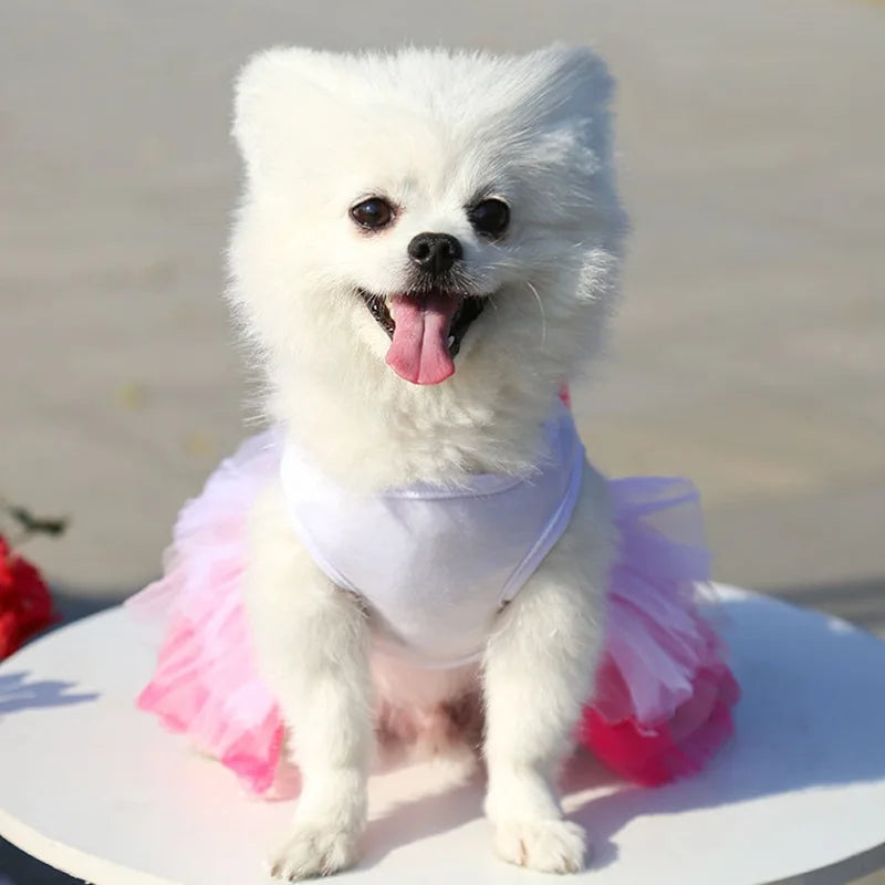 Sweet Dog Princess Dress for Small Dogs. 
Puppy Dog Lace Tutu Dress.
Chihuahua Dog Skirt Pet Apparel Dog Dress
