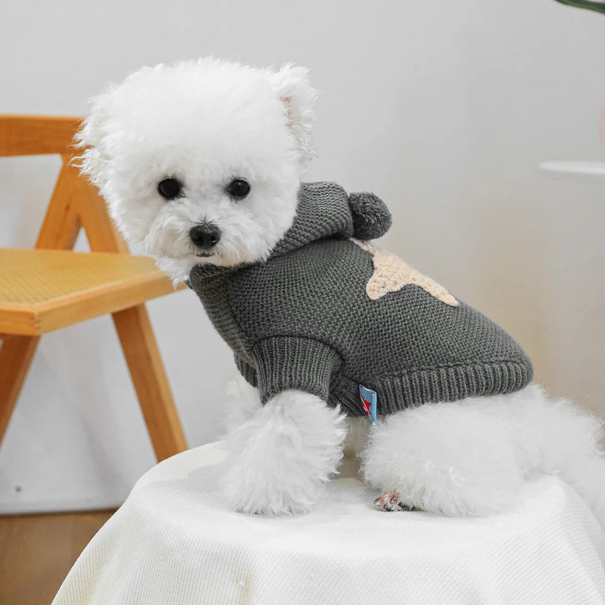Starfish Hooded Sweater - Dark Gray Pullover Pet Sweater