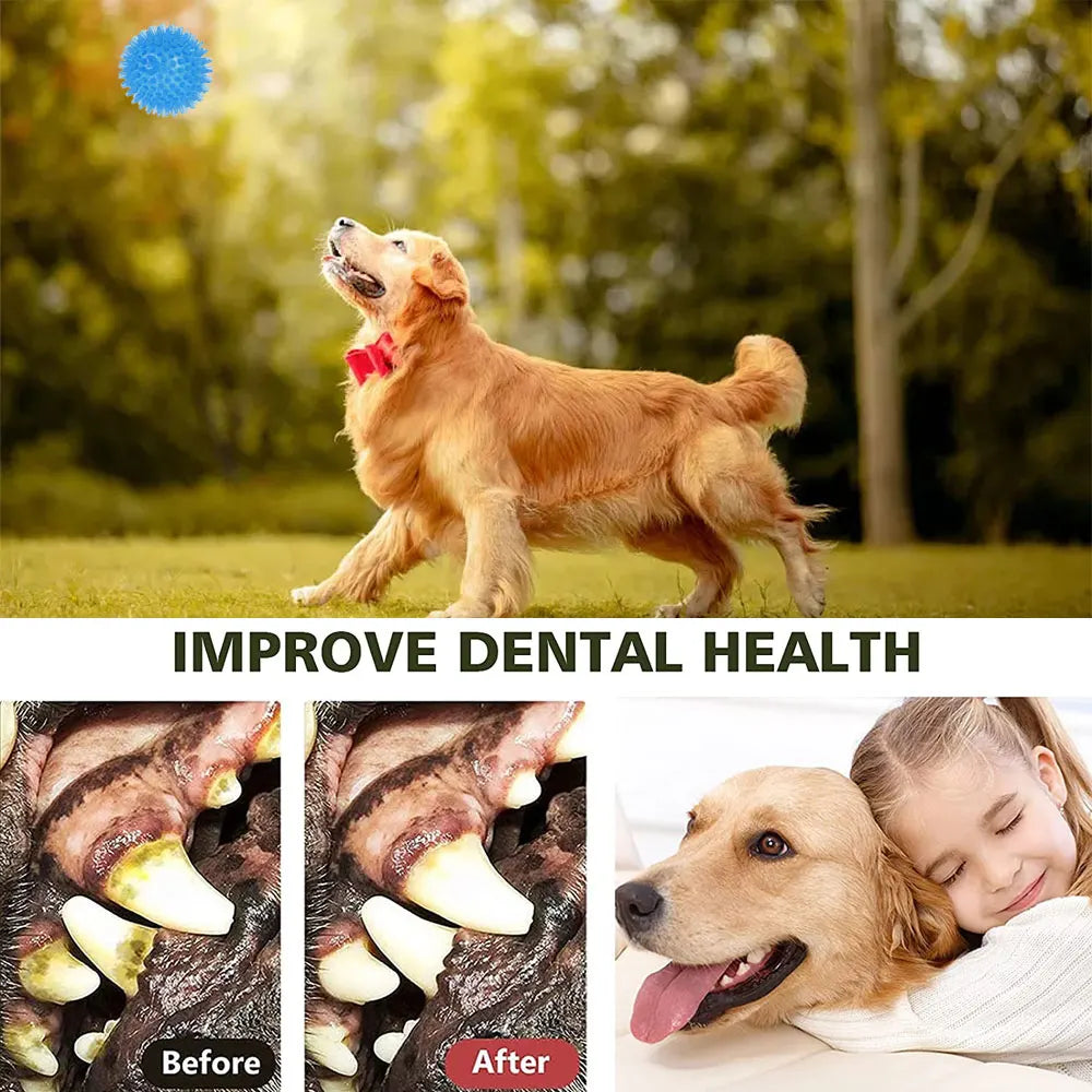 6PCS Squeaky Tooth Cleaning Balls for Dogs