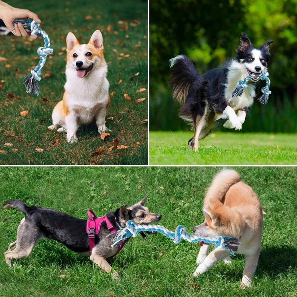 Dog Toy Pet Molar Bite-resistant Cotton Rope Knot for Small Dog Puppy Relieving Stuffy Cleaning Teeth Pet Chew Toys