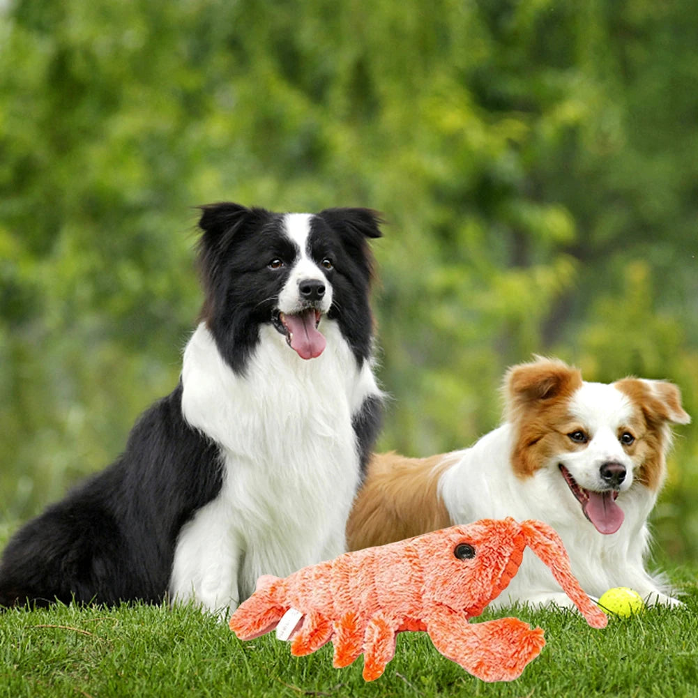 Moving Lobster Chew Toy.  Interactive Dog Toys To Keep Them Busy.  Floppy Lobster Pet Squeak Toys for Small, Medium, and Large Dogs
