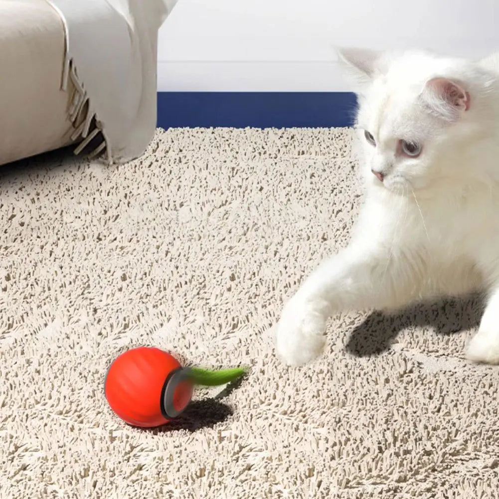 Automatic Moving Cat Toy Ball 
Smart Cat Toys, Interactive Ball Toy
USB Rechargeable Smart Cat Toy
