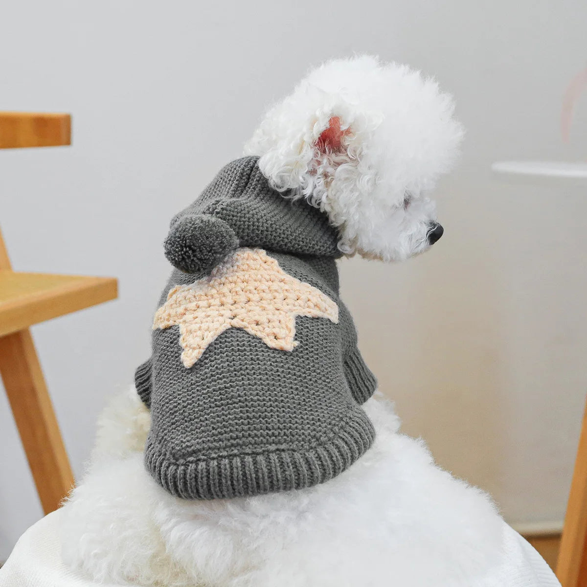 Starfish Hooded Sweater - Dark Gray Pullover Pet Sweater