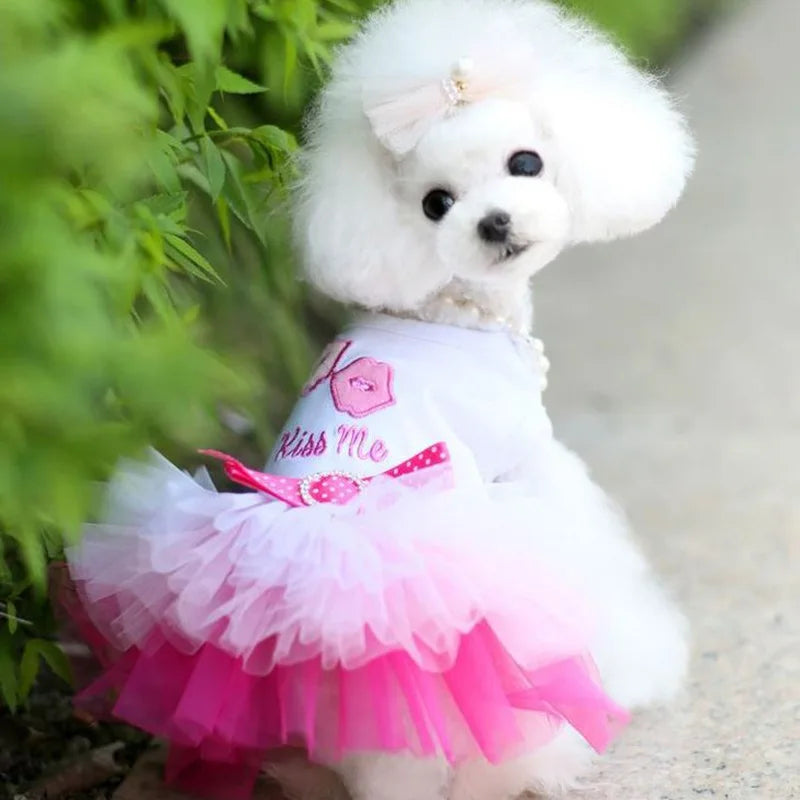 Sweet Dog Princess Dress for Small Dogs. 
Puppy Dog Lace Tutu Dress.
Chihuahua Dog Skirt Pet Apparel Dog Dress